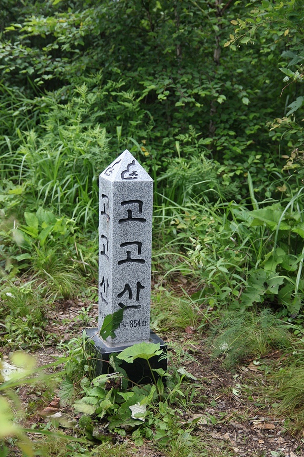 완택산 이미지