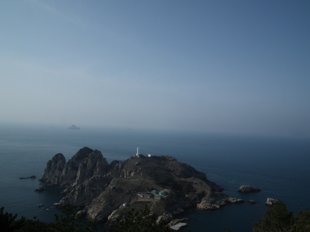 음매 이미지