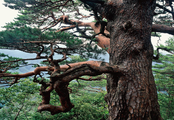 113CAD4F4FEBFCF51360C6