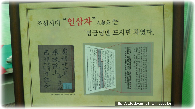 고려인삼 이미지