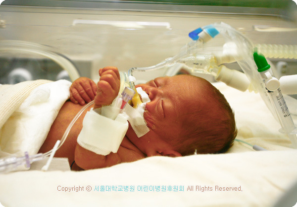 도움 이미지
