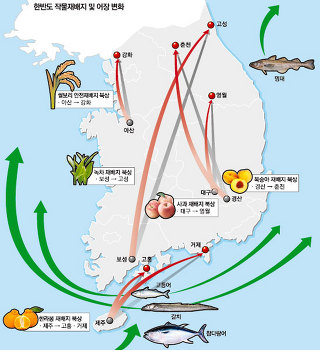 한국채소소믈리에협회 이미지