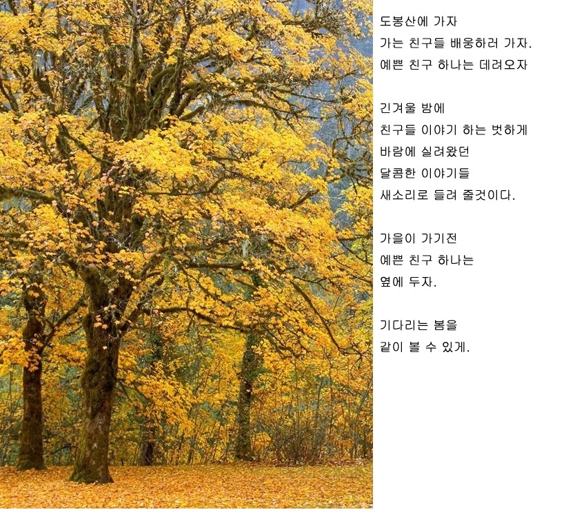 한잎 이미지