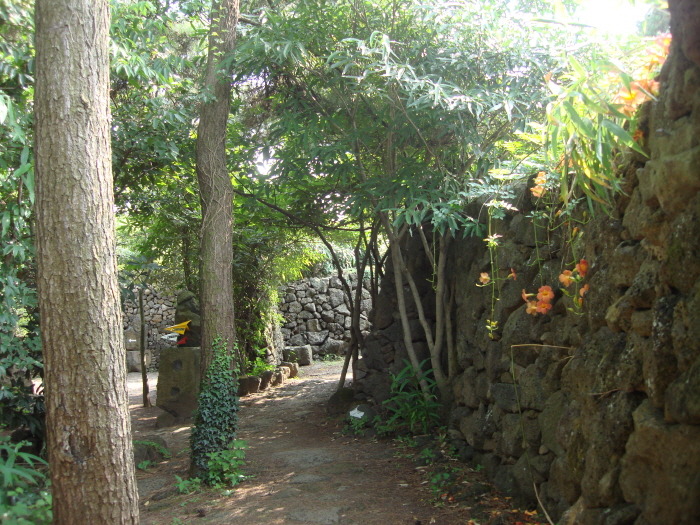 제주돌담 이미지