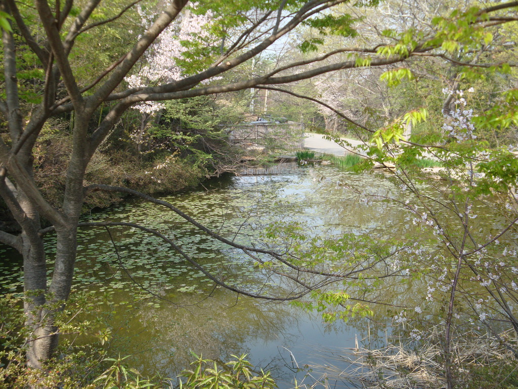 바람향기 이미지