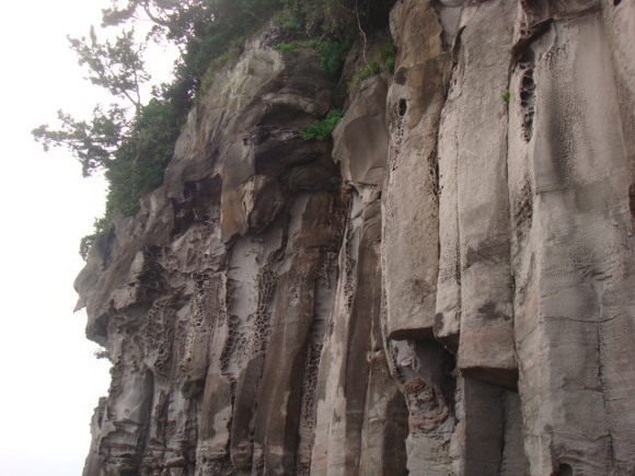 (주)산들그린 이미지