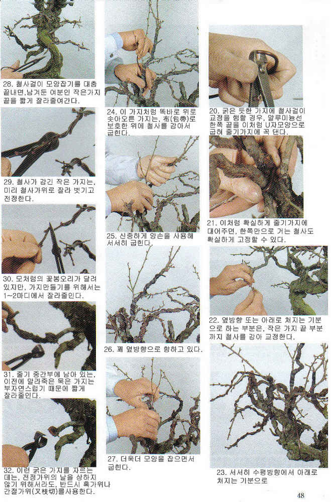 정언 이미지