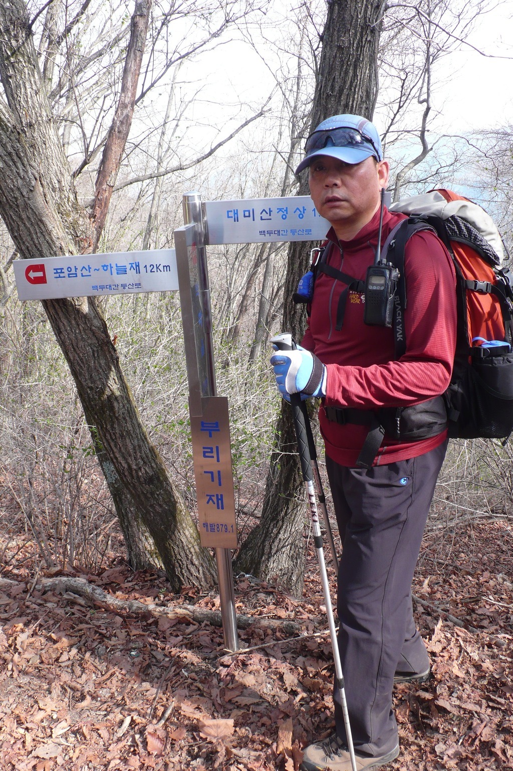 대미산, 포암산 이미지