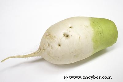 에오세 이미지