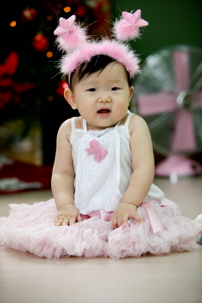세이치즈 이미지