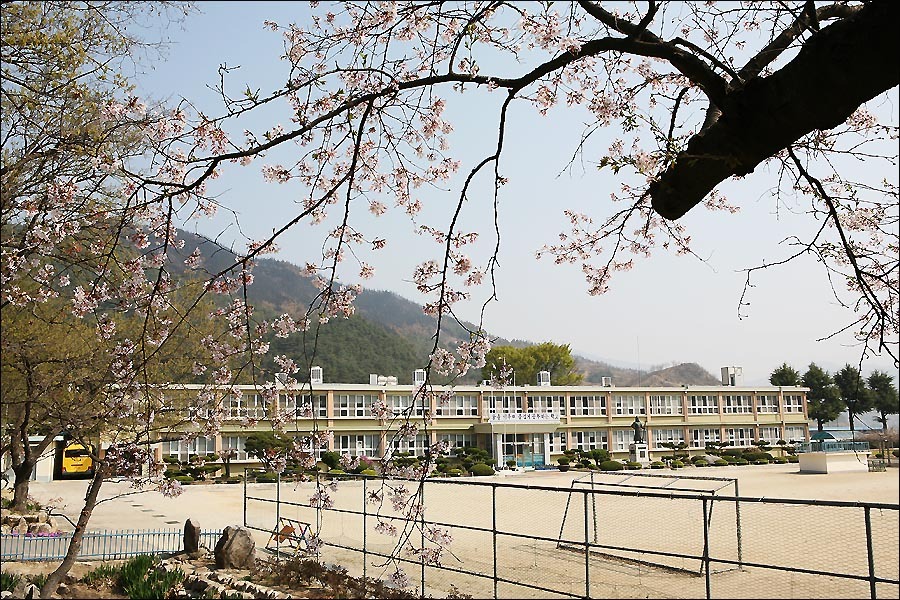 병곡초등학교 이미지