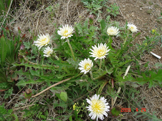 덕산방 이미지