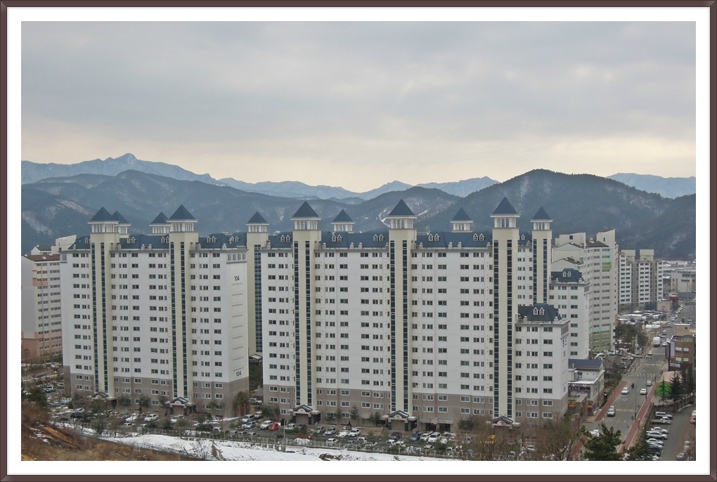 엘드라곤 이미지
