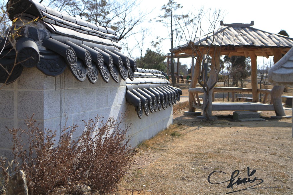 담 이미지