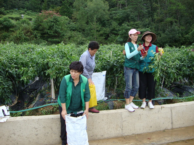 천지환경 이미지