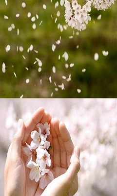 스멜 이미지