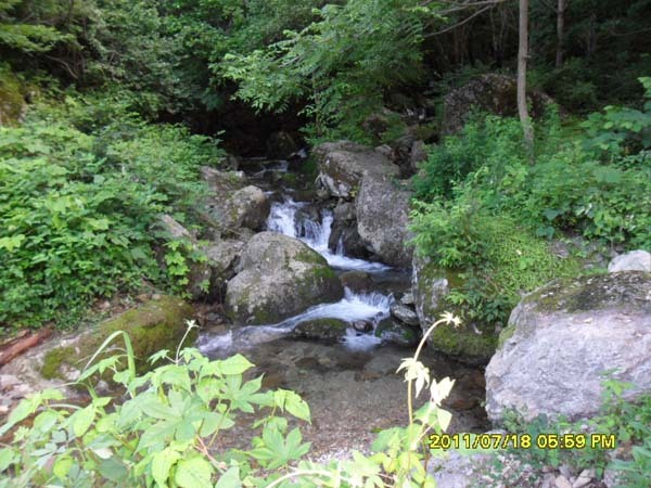 발교산산장 이미지