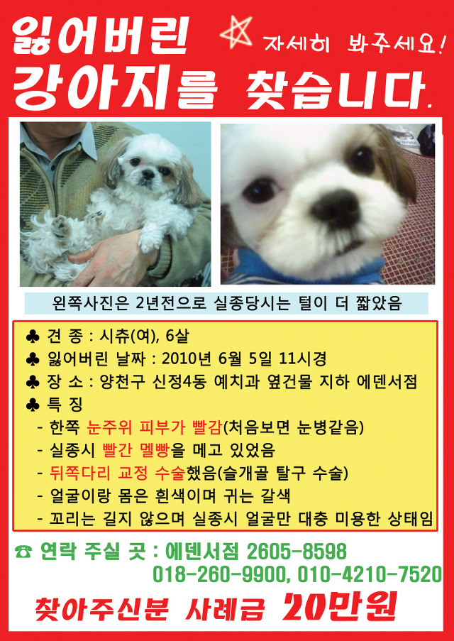 땡글이 이미지