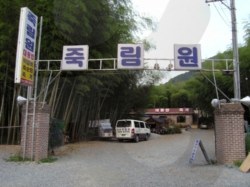 죽림원 이미지