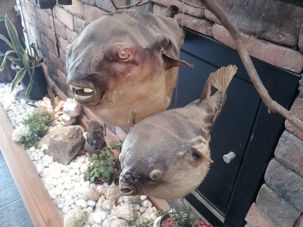 부산복집 이미지