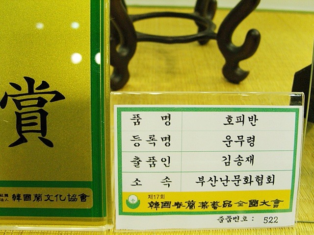 한국춘난판매 이미지