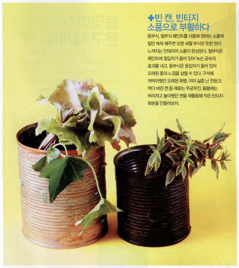빈티지빈 이미지