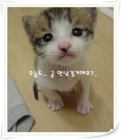 일이삼사 이미지