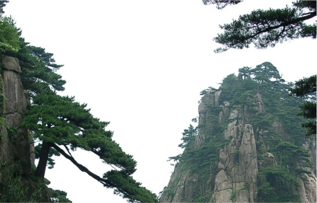 김*경 이미지