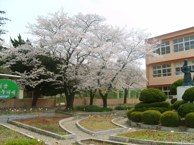 오천초등학교 이미지