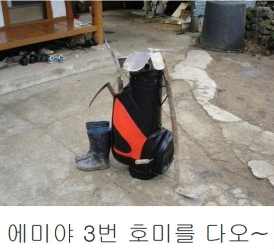 투어프로 이미지