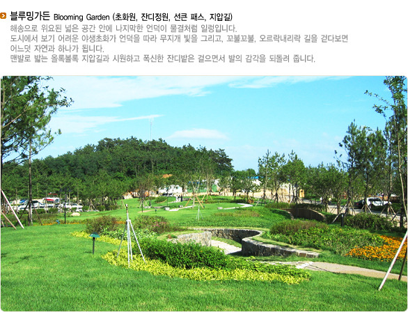 엘도라도 이미지