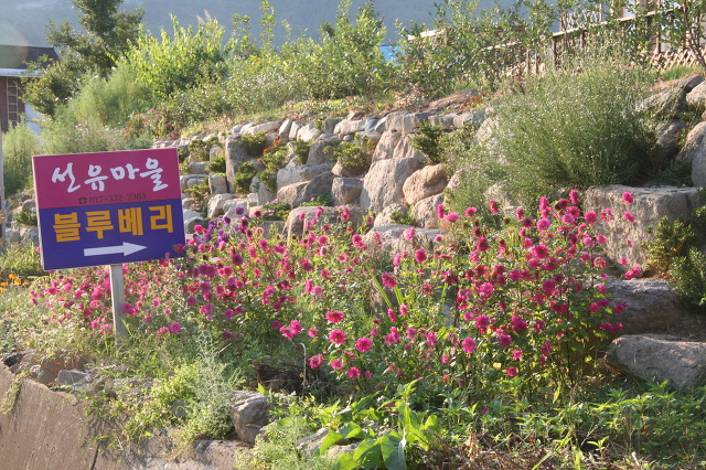 라원 이미지