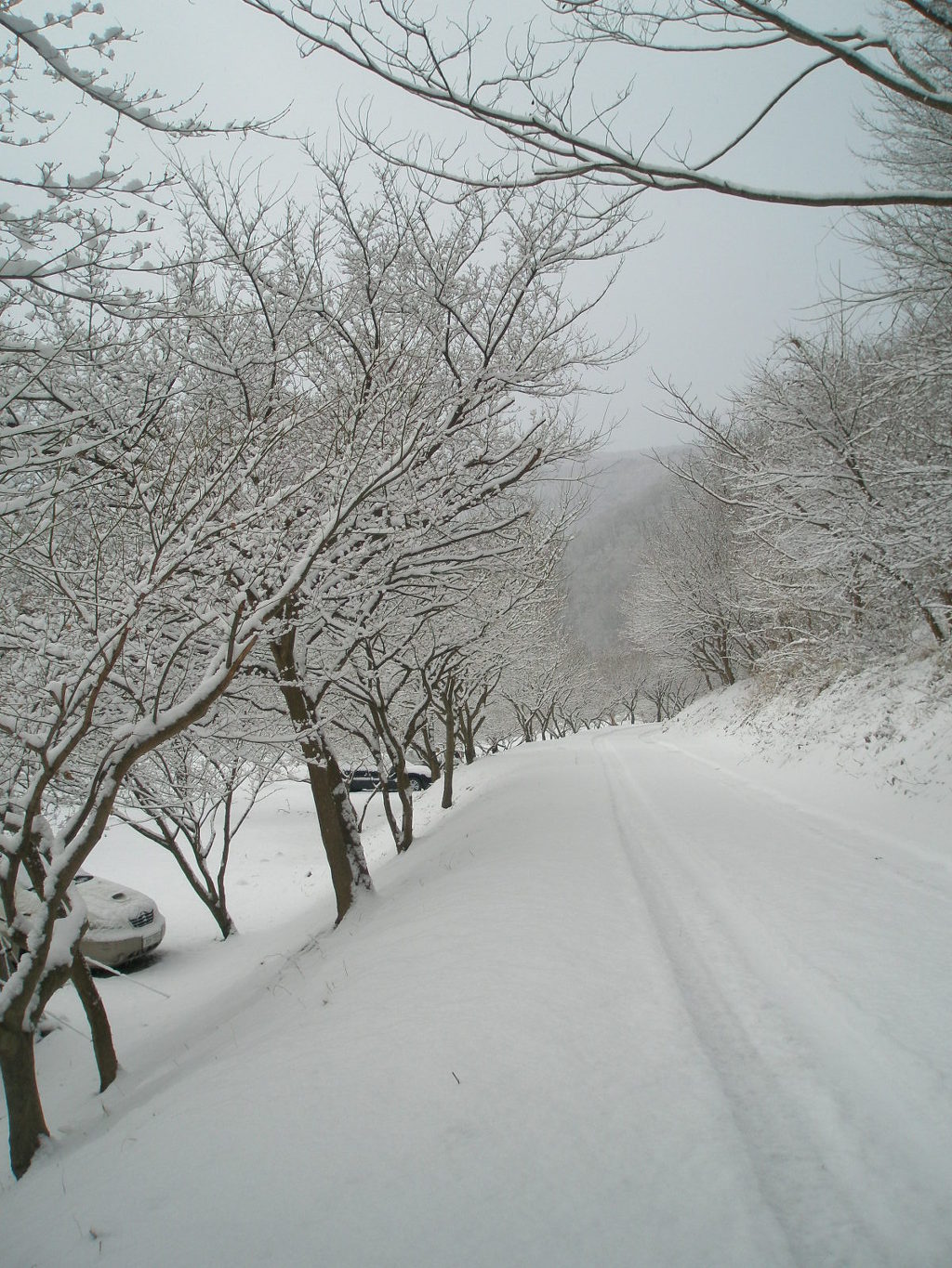 스노우 이미지