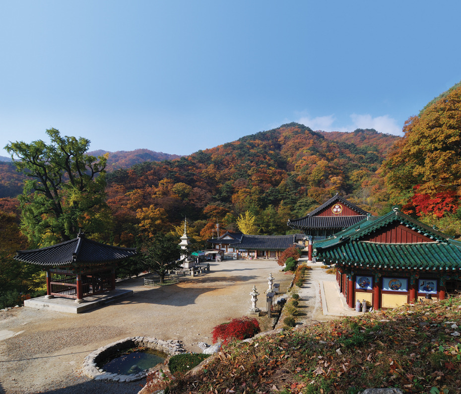용문사 이미지