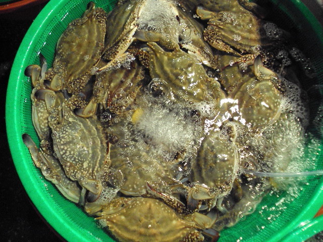 청기와식당 이미지