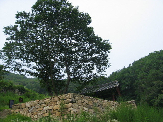 오국사 이미지