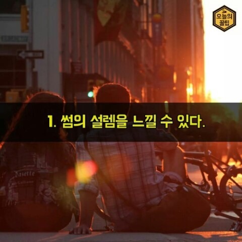 솔로라서 좋은 이유.jpg | 인스티즈