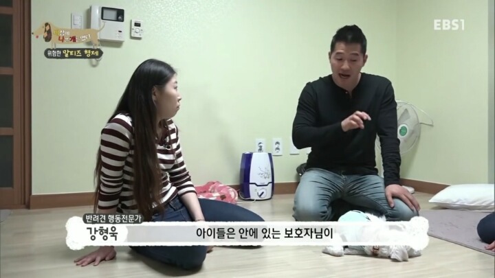 공격적인 반려견이 되는 이유 2부.jp | 인스티즈