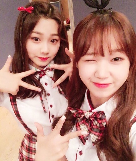 꿀귀 + 꿀귀 (아이오아이) | 인스티즈