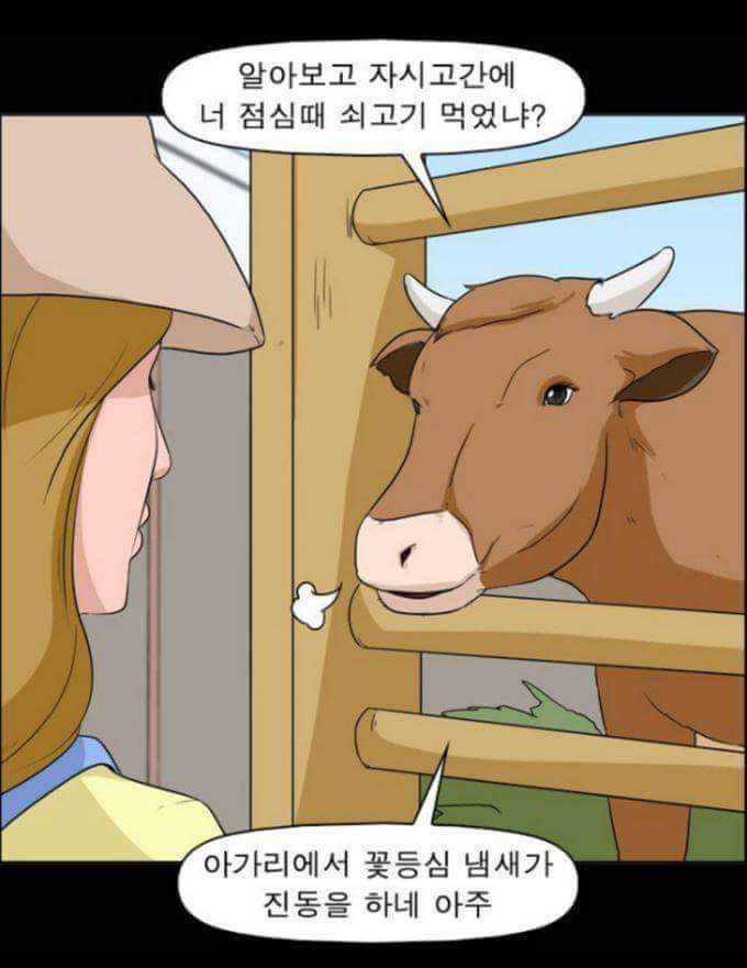 동물들이 말을 할 수 있다면 일어나는 일 | 인스티즈