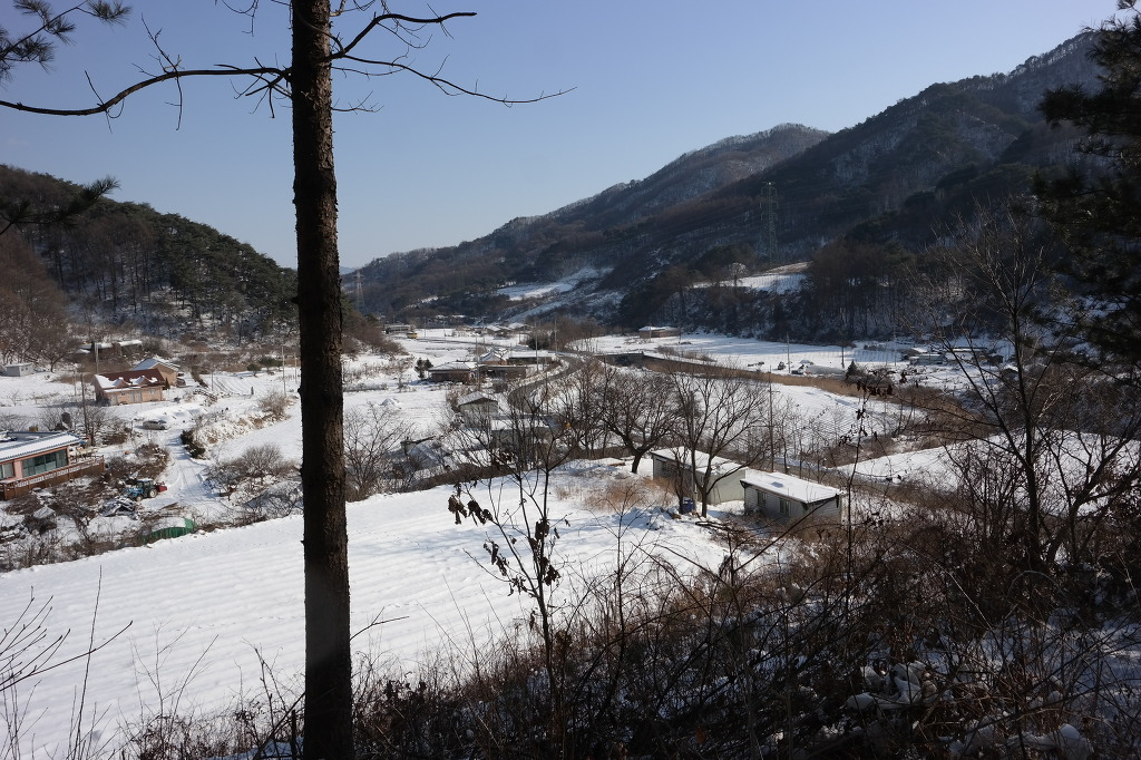 지교대호 이미지