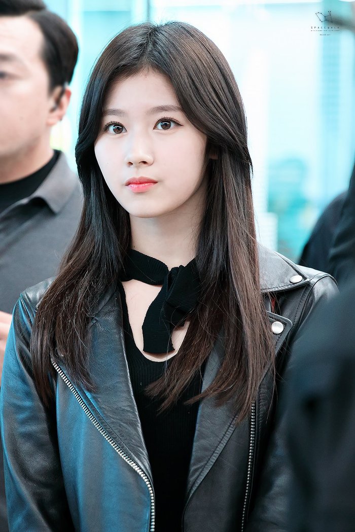 박근혜 하야하고 문재인 대통령 당선 vs 좋아하는 연예인과 연애 및 결혼 | 인스티즈
