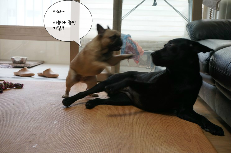 원츄 이미지