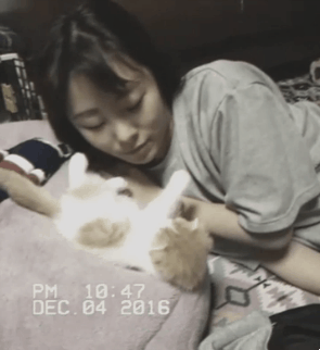 마마무 휘인이와 고양이 | 인스티즈