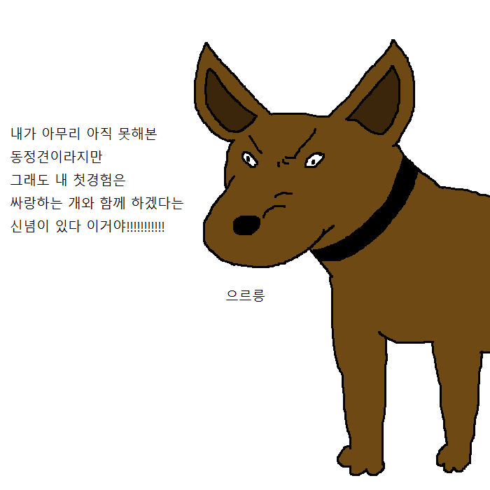 댕댕이의 운수좋은날.jpg | 인스티즈
