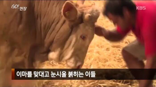 감사함을 아는 동물 | 인스티즈