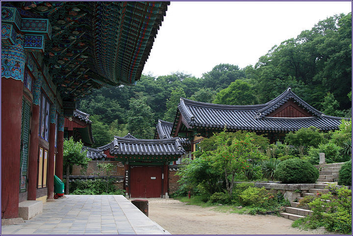 한적하고 마음이 편안해지는 절 풍경 | 인스티즈