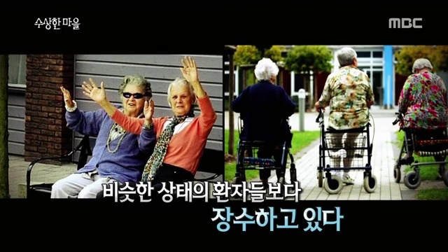 풍차국의 치매 요양 마을 | 인스티즈