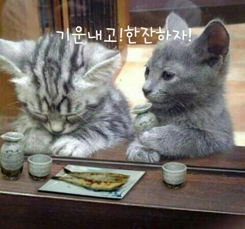 투어토크 이미지