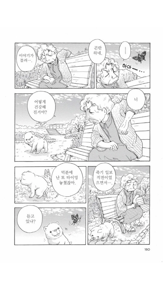 개를 주워오면 안되는 이유 | 인스티즈